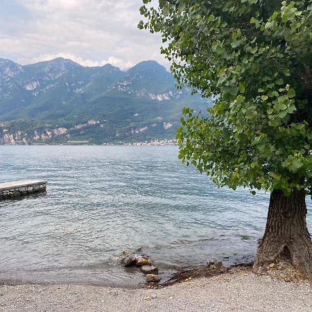 Oliveto Lario Al Cottage מראה חיצוני תמונה