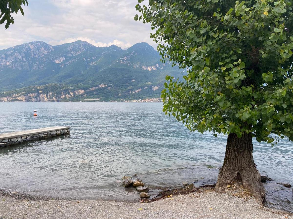 Oliveto Lario Al Cottage מראה חיצוני תמונה